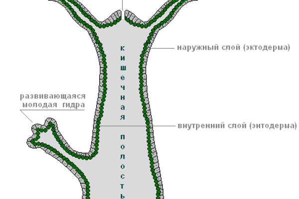 Магазин кракен дарк