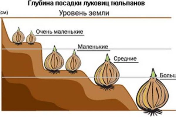 Кракен кз
