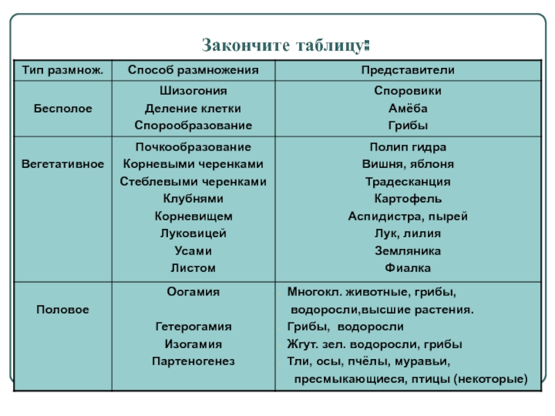 2krn at официальный