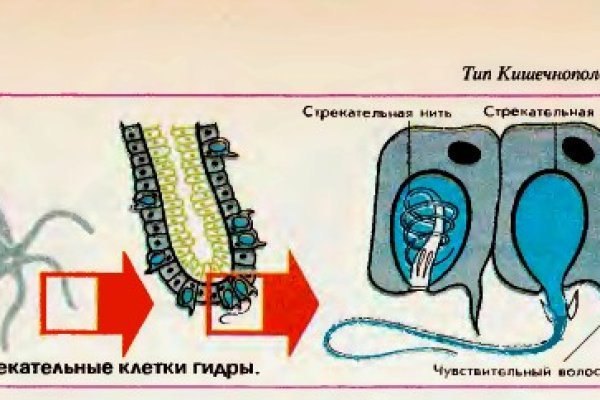 Как попасть на кракен с айфона