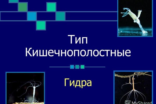 Как зарегистрироваться в кракен в россии