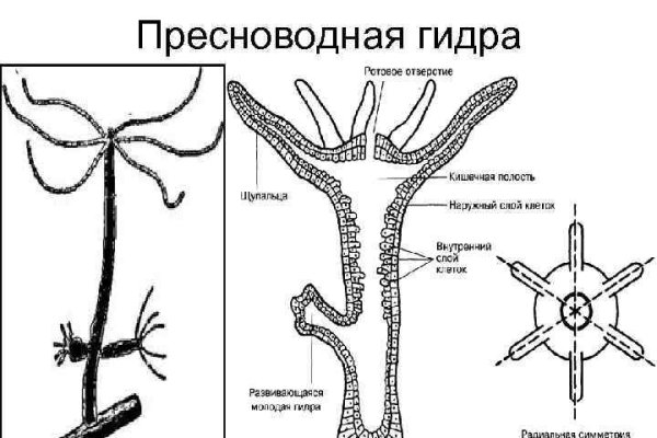 Кракен как зайти